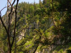 2013-07-13_Regina-F-Rau_Sonnenspitze3 (071).JPG